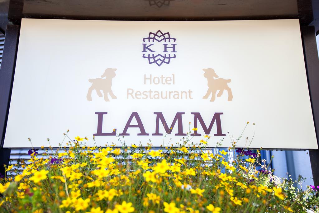 Lamm