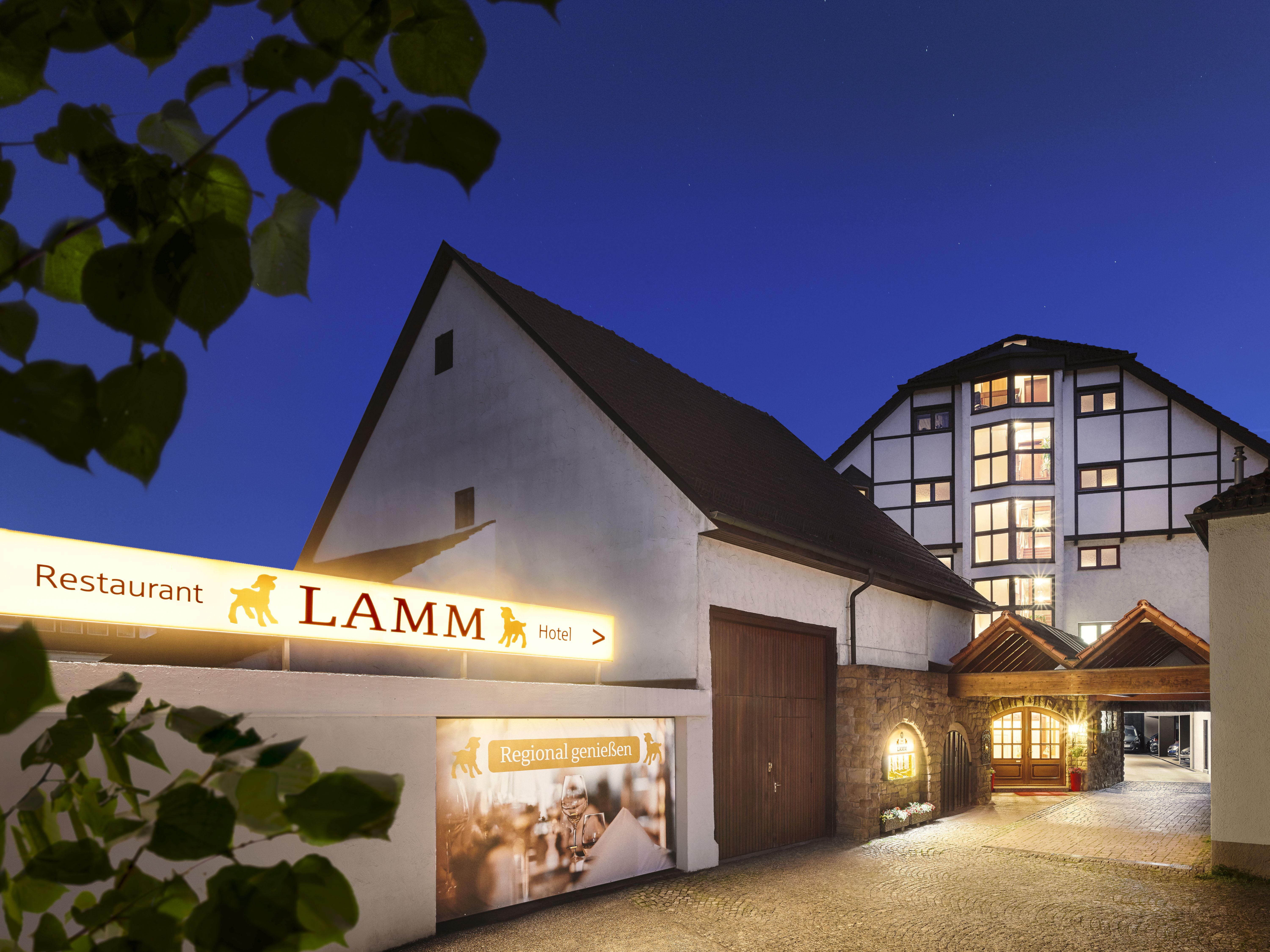 Lamm