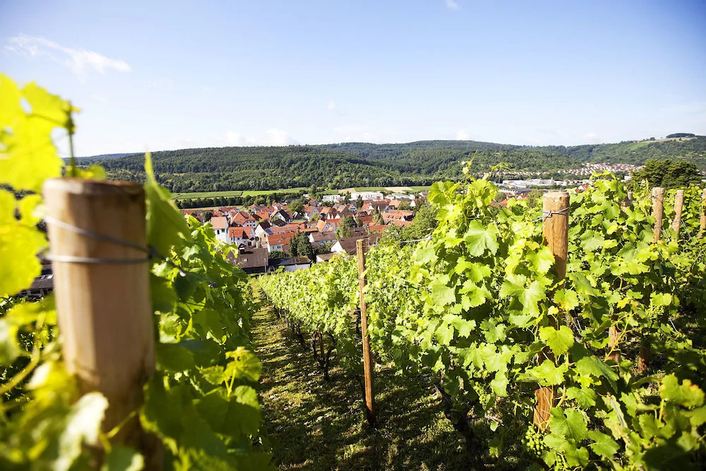 Hotel Lamm Hebsack