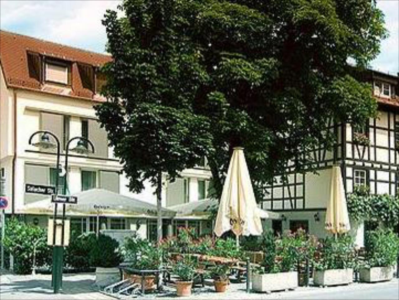 Ochsen