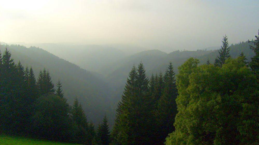 Schwarzwaldgasthaus Linde