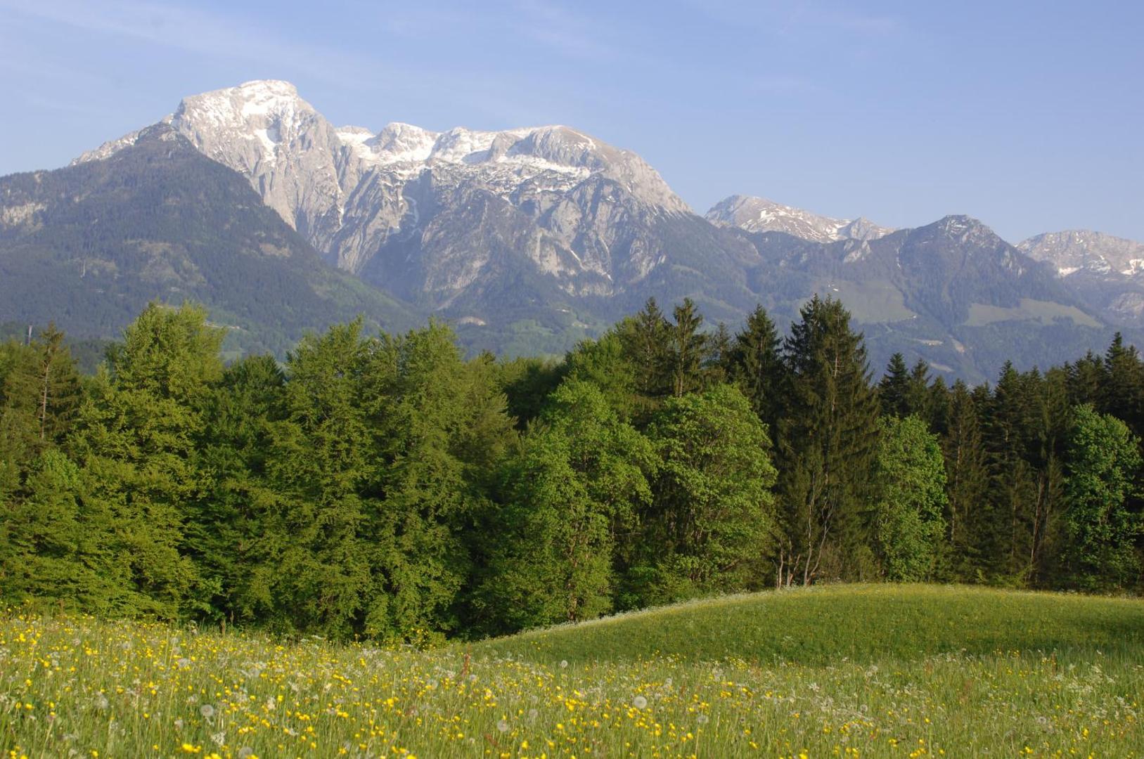 Alpenhotel Hundsreitlehen