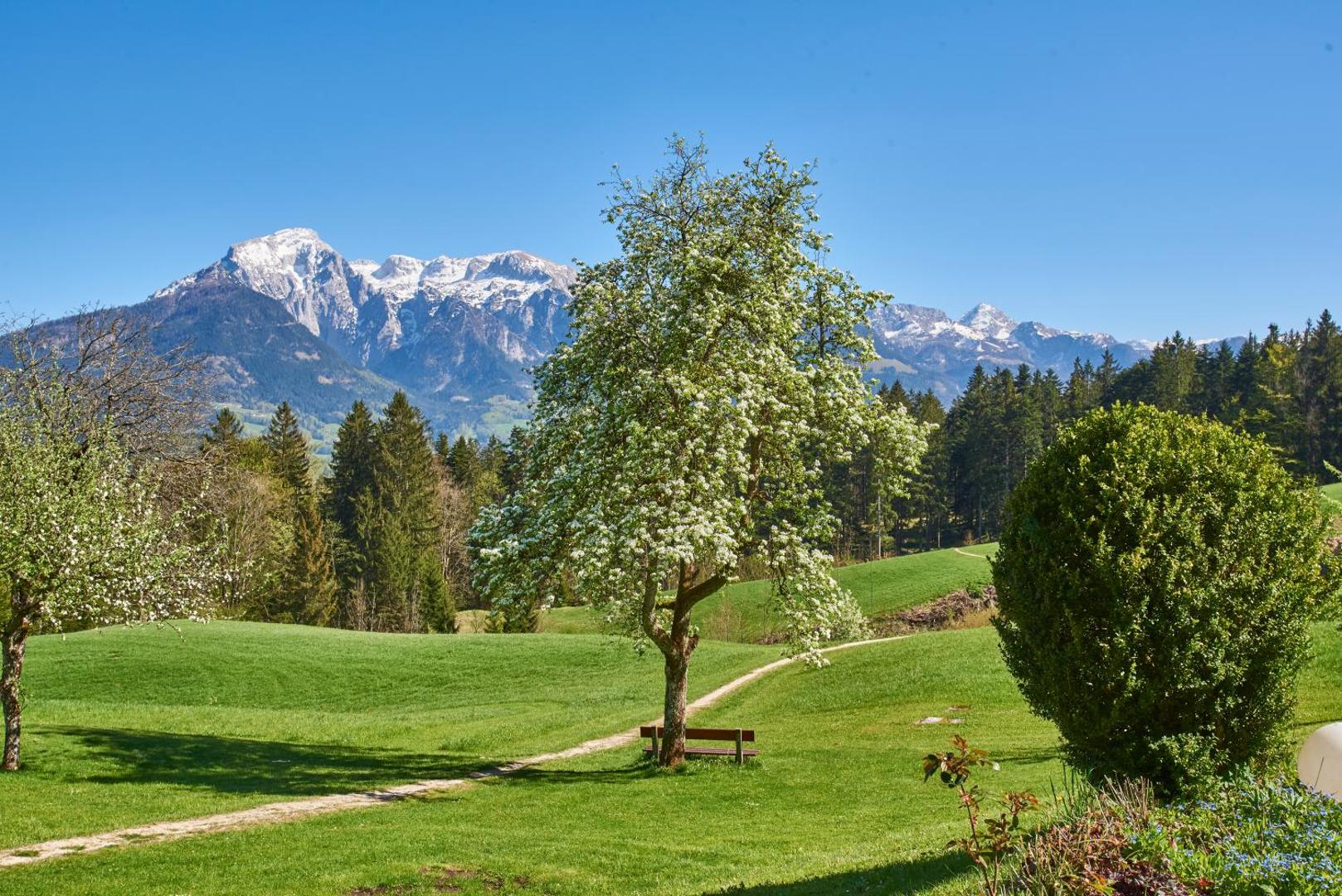 Alpenhotel Hundsreitlehen