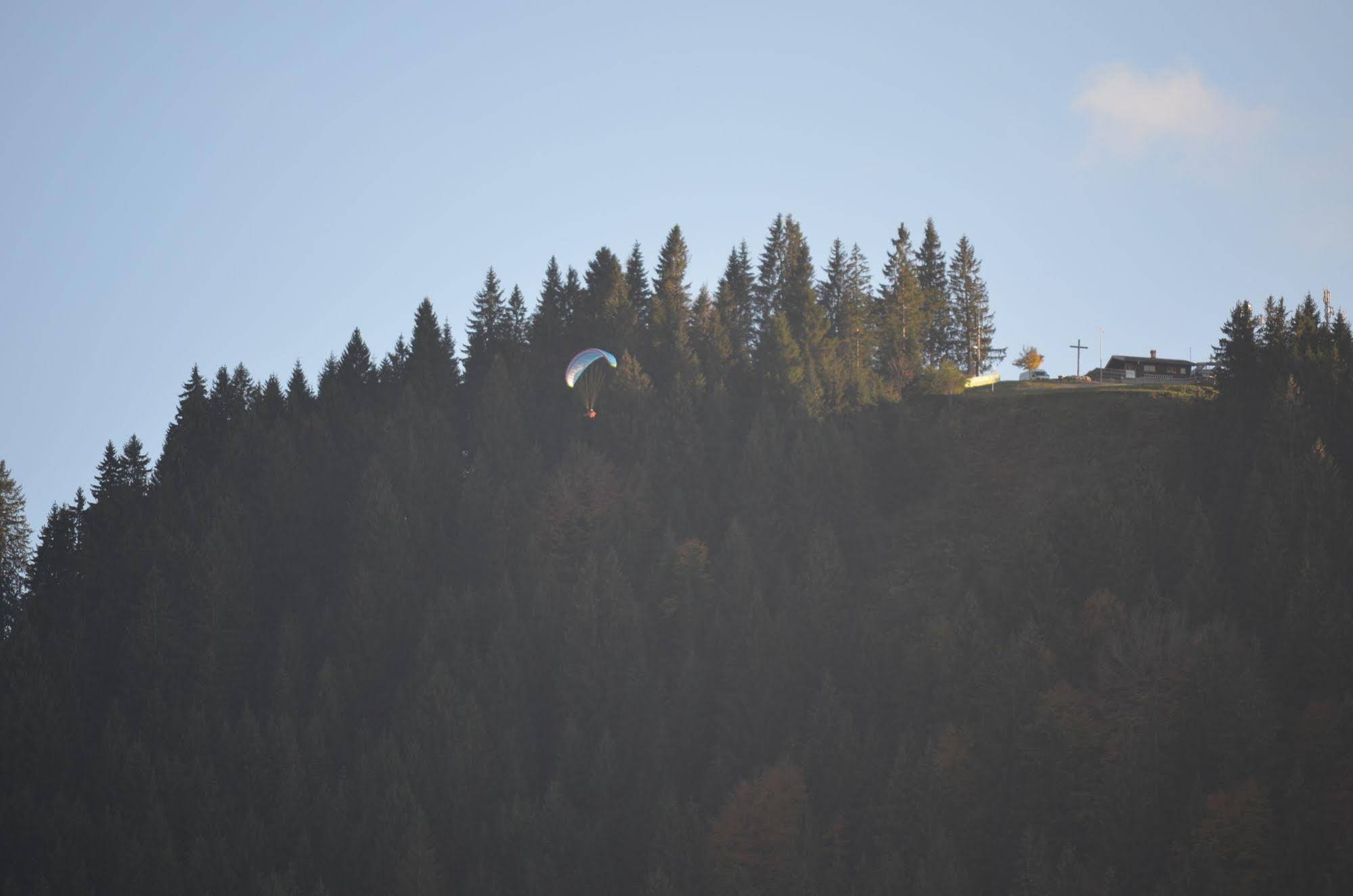 Alpchalet Schwanstein