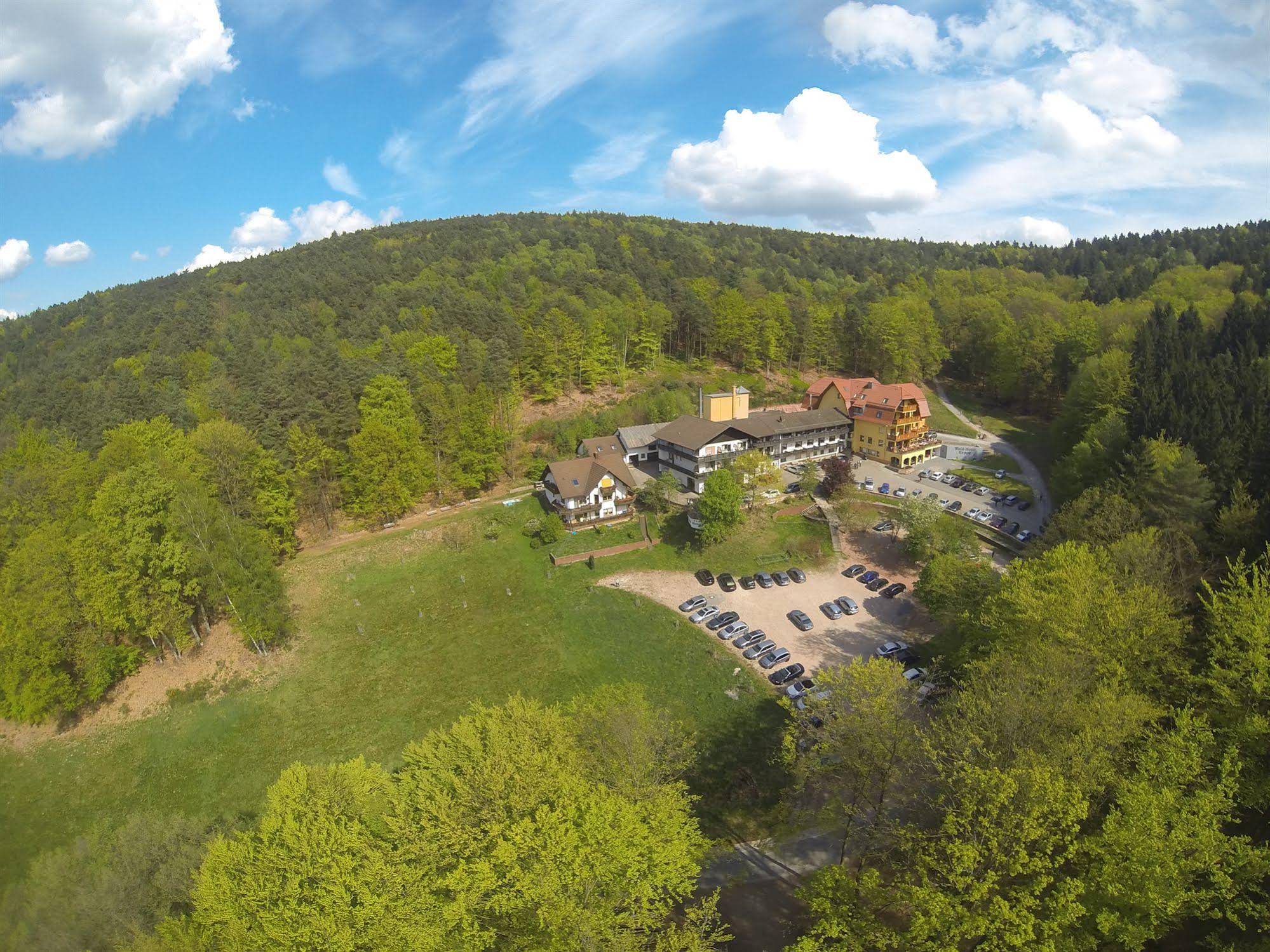Wald Hotel Heppe