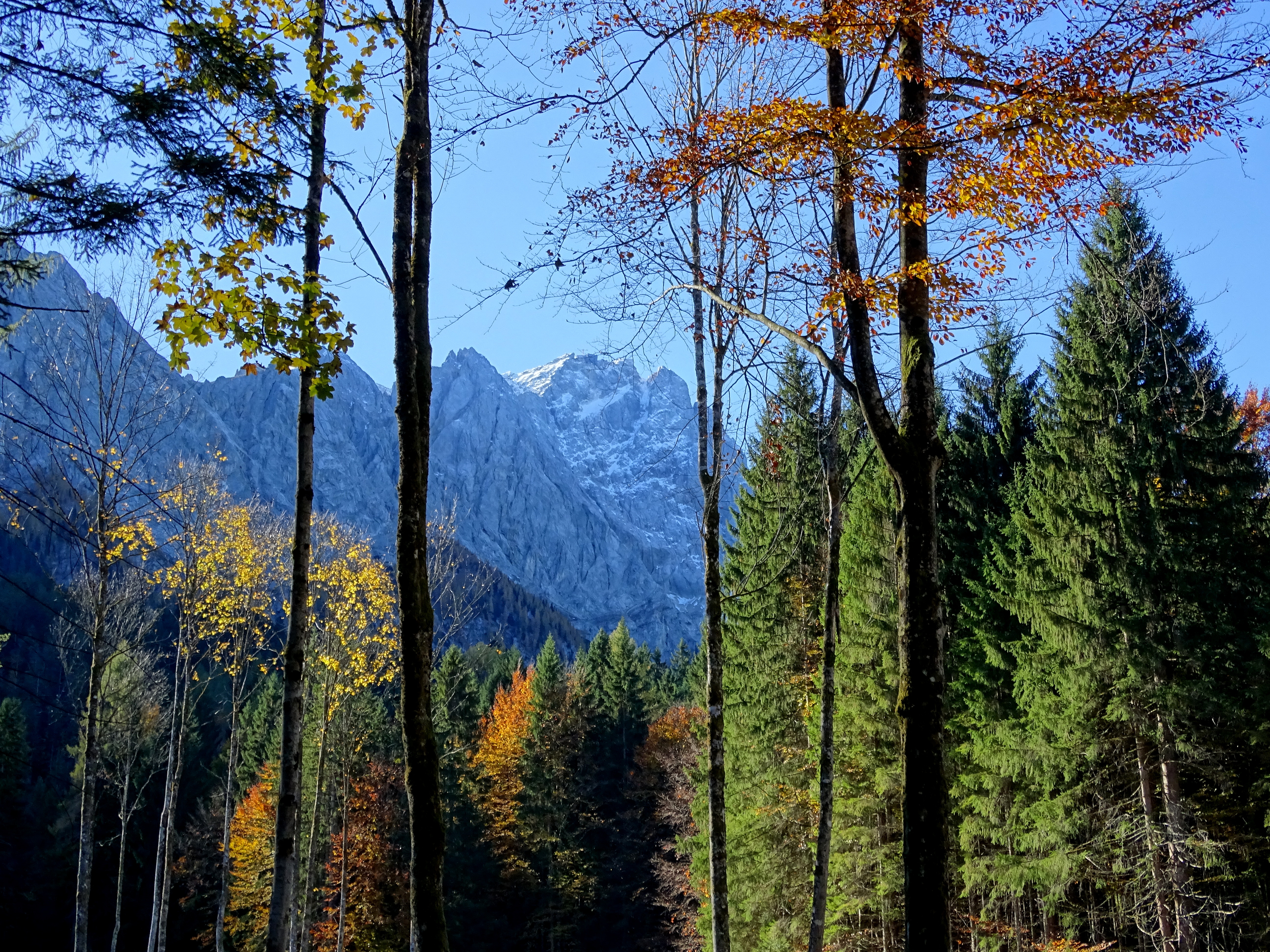 Hotel am Badersee