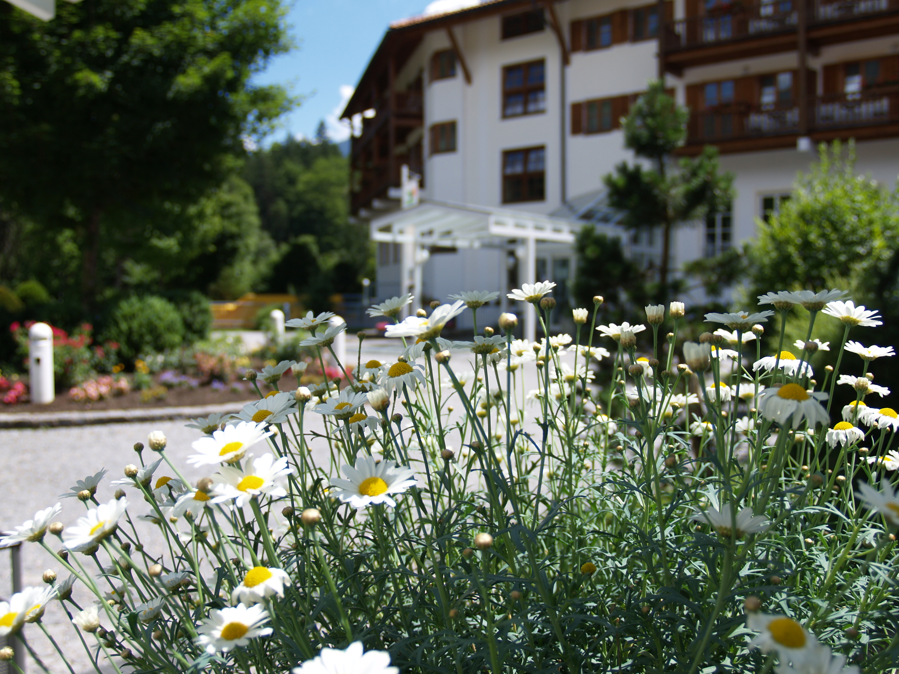 Hotel am Badersee