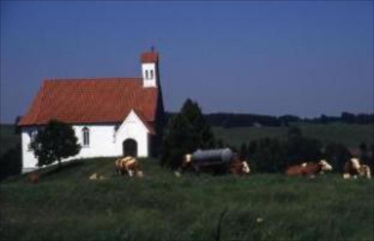 Hotel Gasthof Negele
