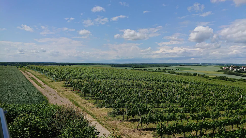 Weinbergshof Rickel