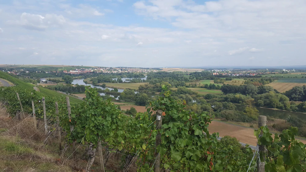 Weinbergshof Rickel