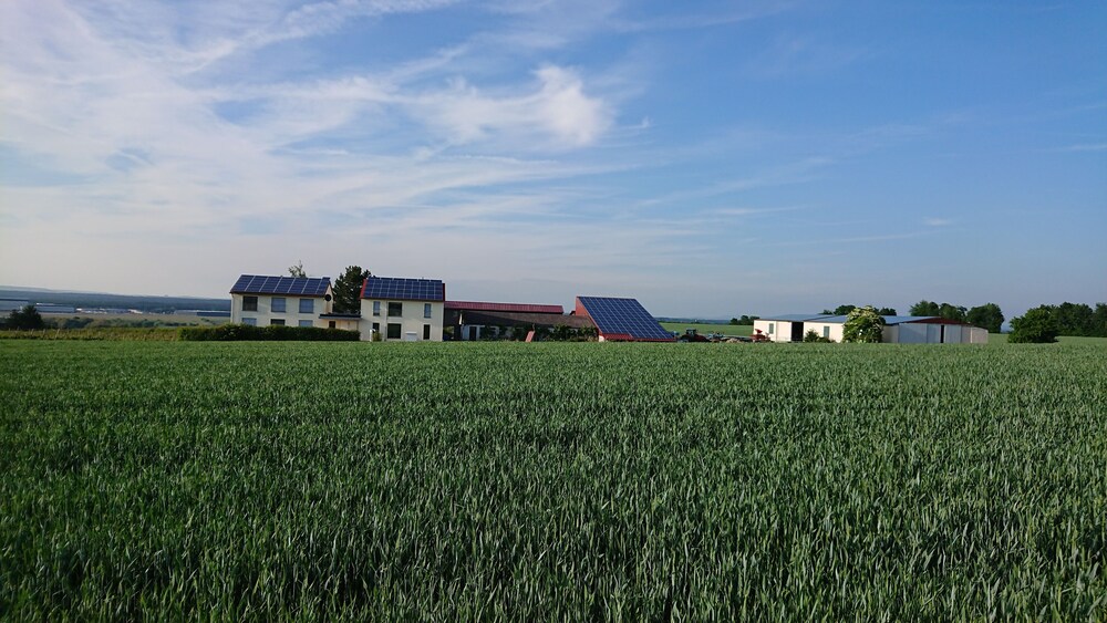 Weinbergshof Rickel