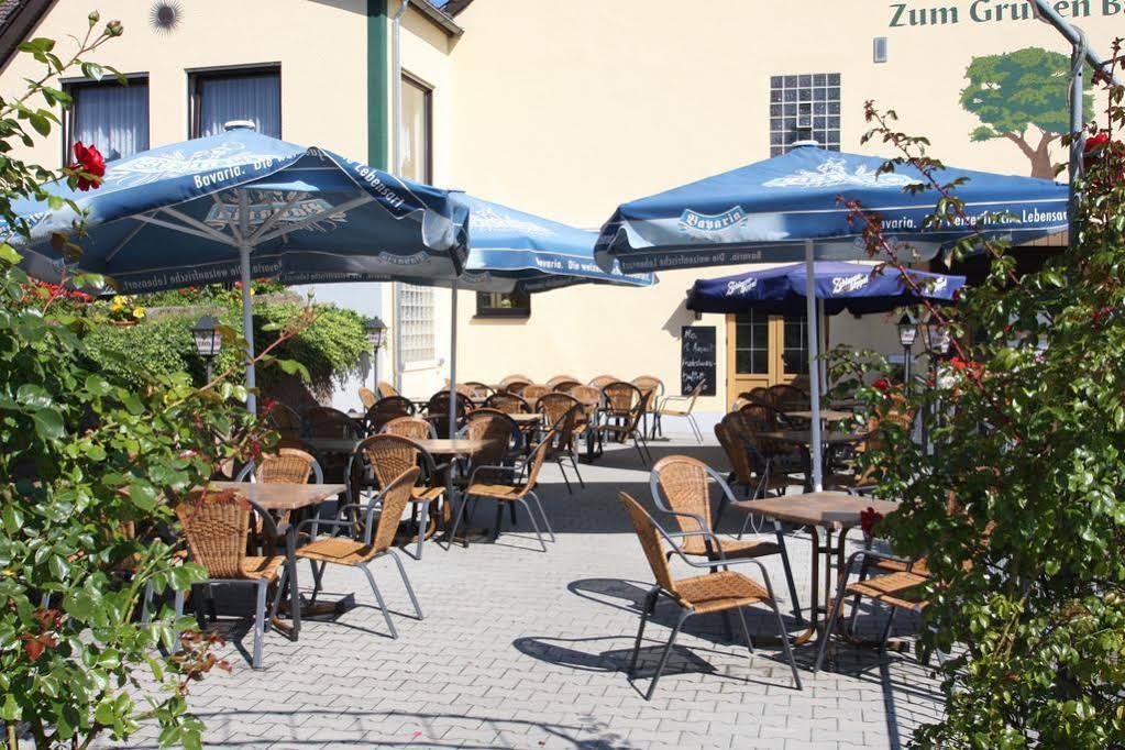 Gaststätte & Pension Grüner Baum