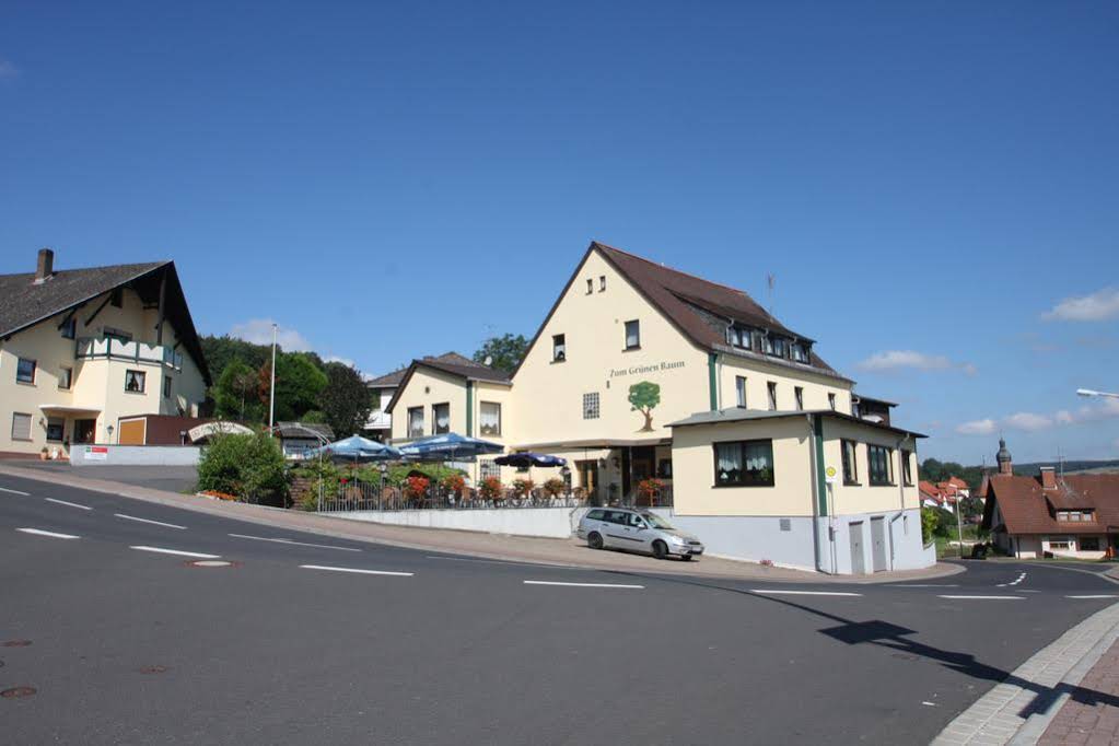 Gaststätte & Pension Grüner Baum