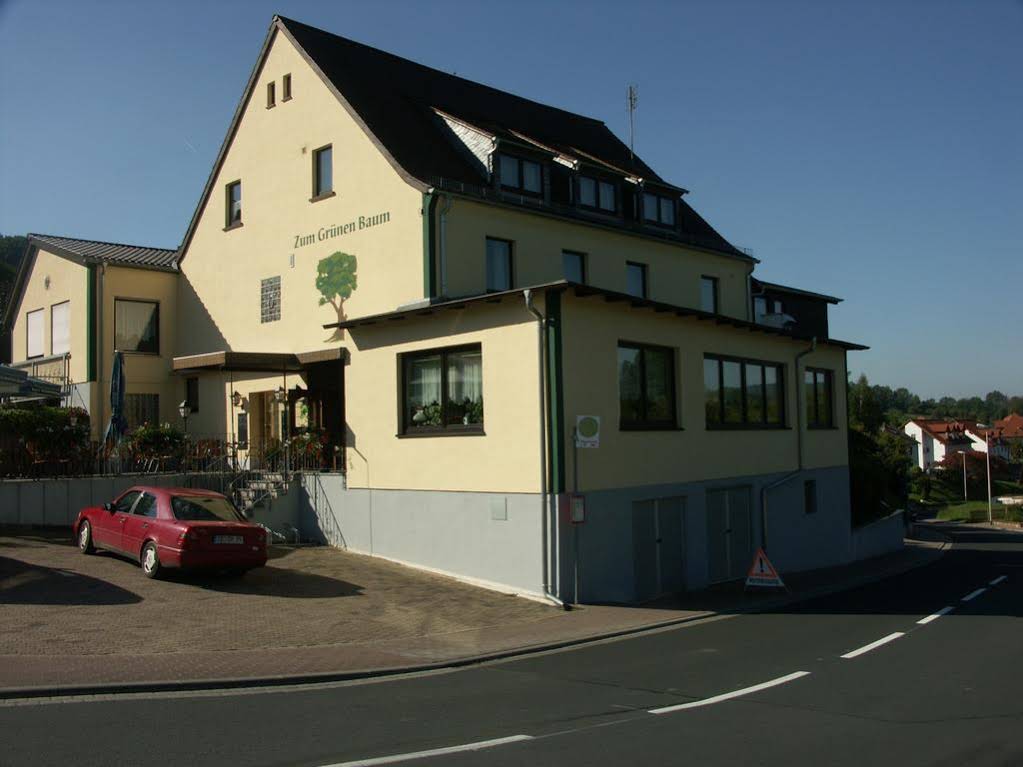 Gaststätte & Pension Grüner Baum