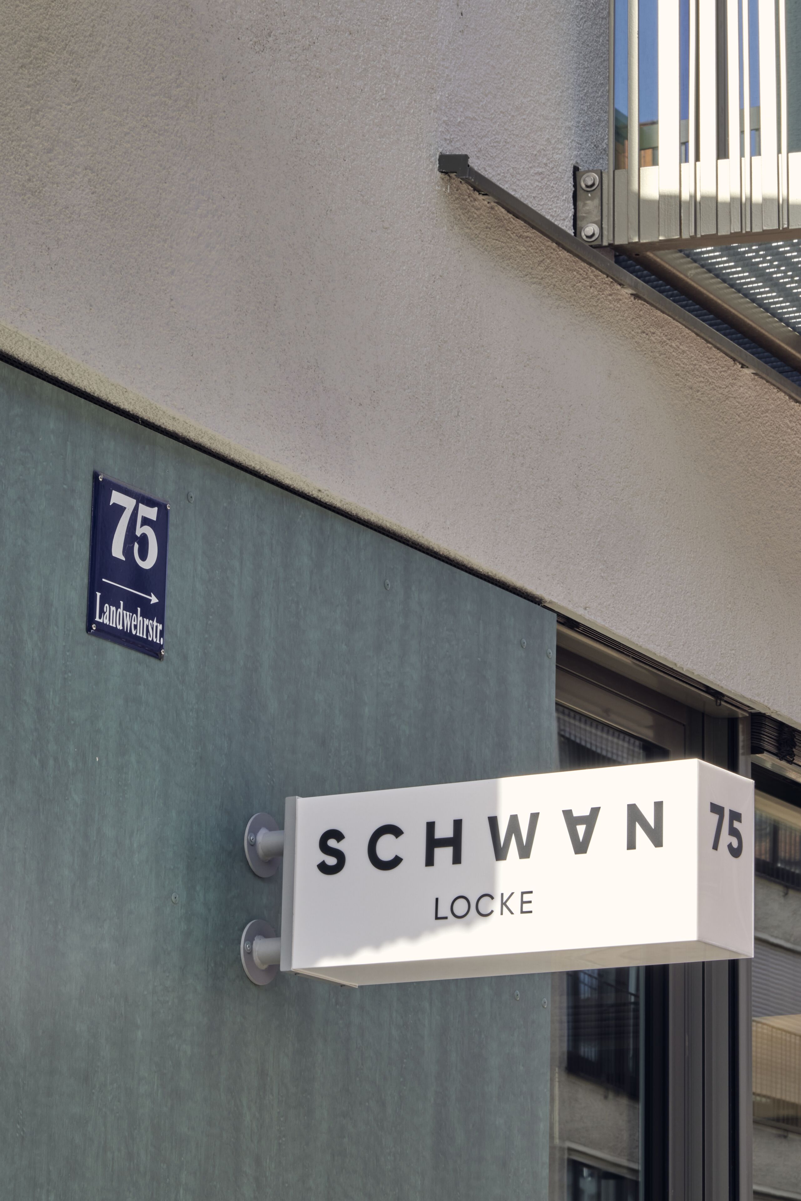 Schwan Locke