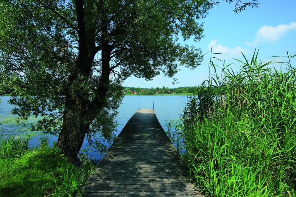 Seeblick