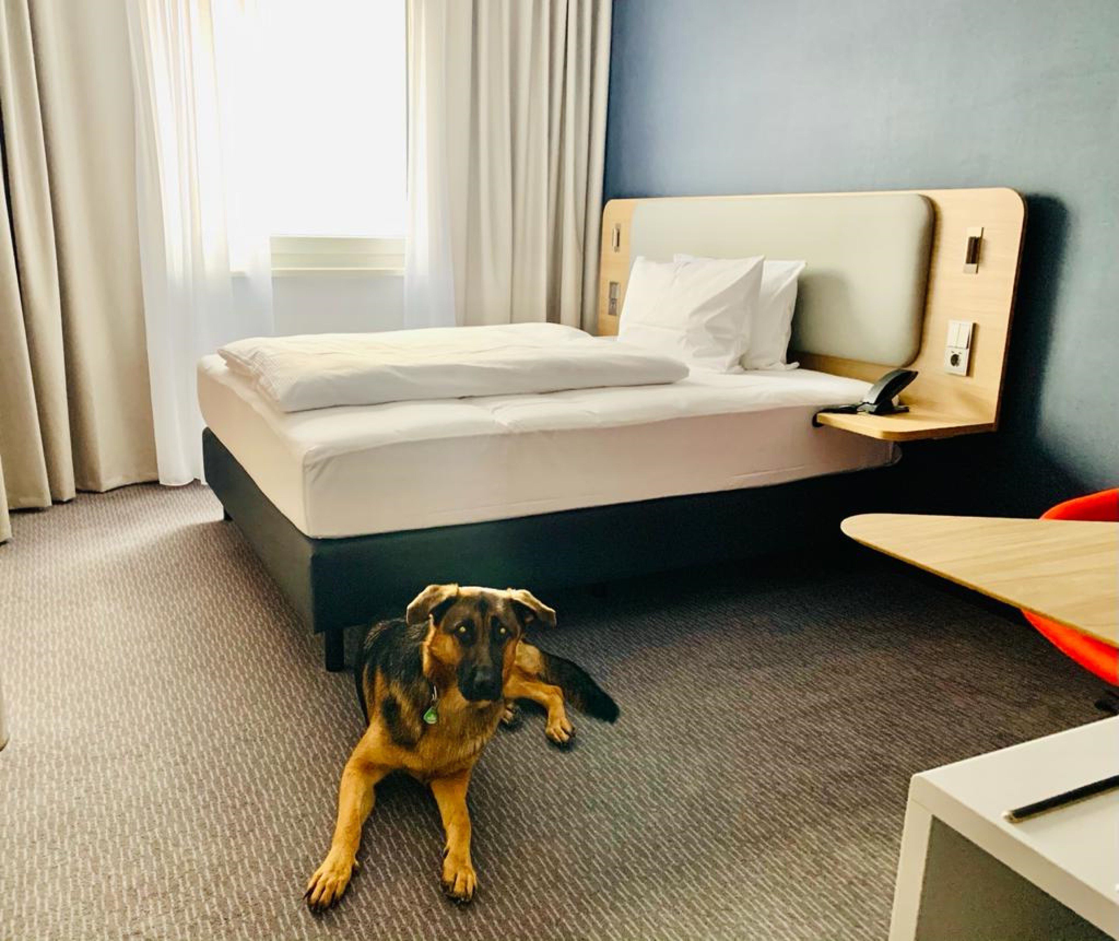 Holiday Inn Express Munich Olching