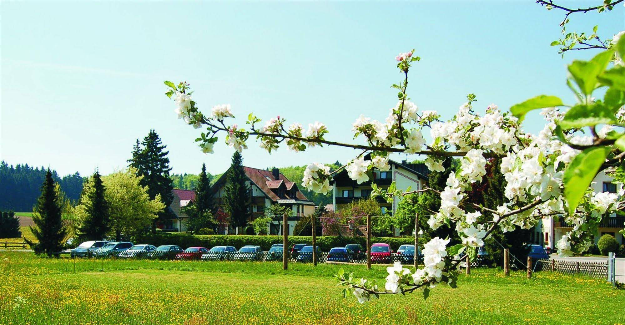 Hotel Lindenhof