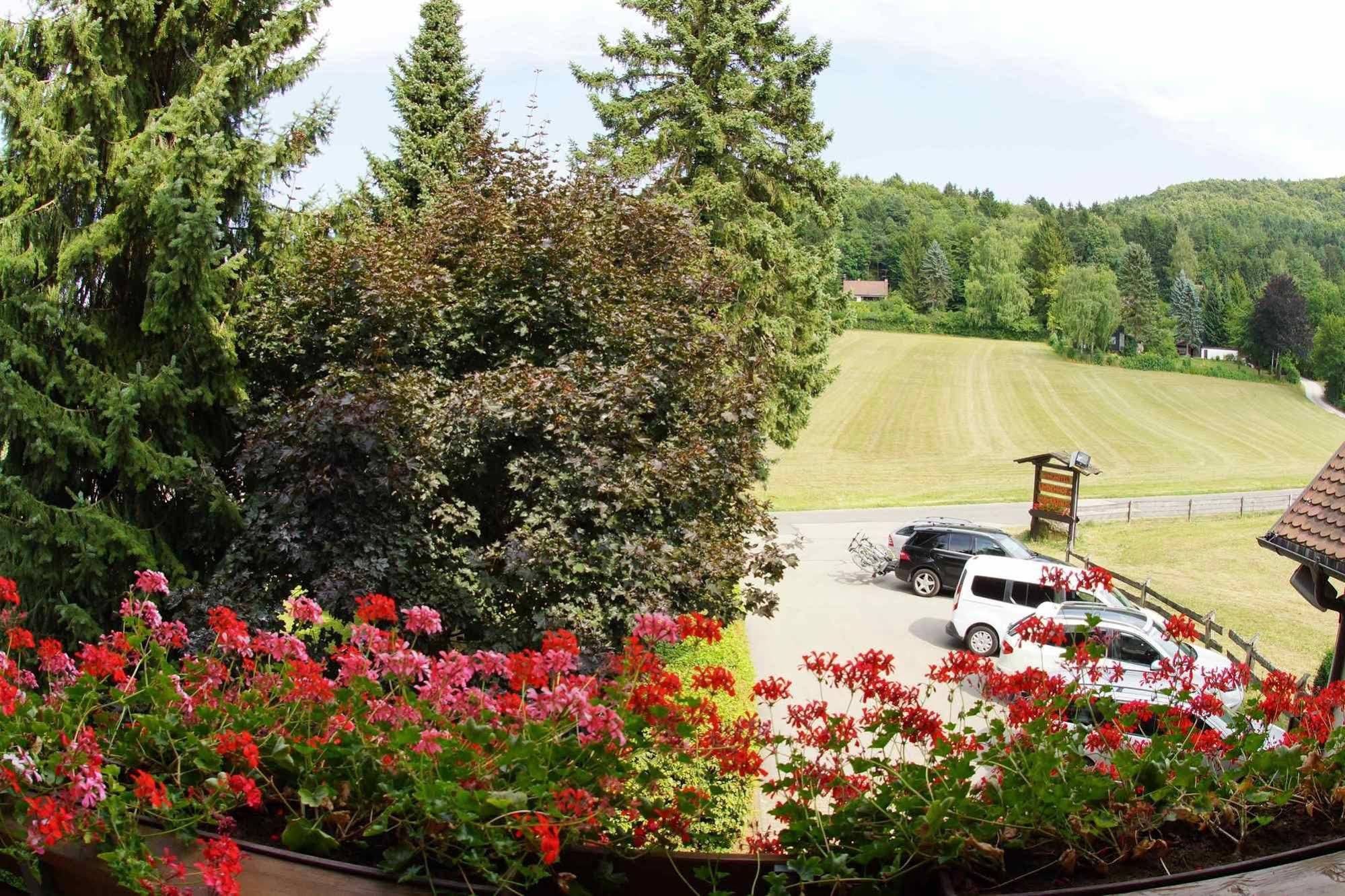 Hotel Lindenhof