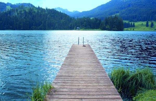 Arabella Alpenhotel am Spitzingsee a Tribute Portfolio Hotel