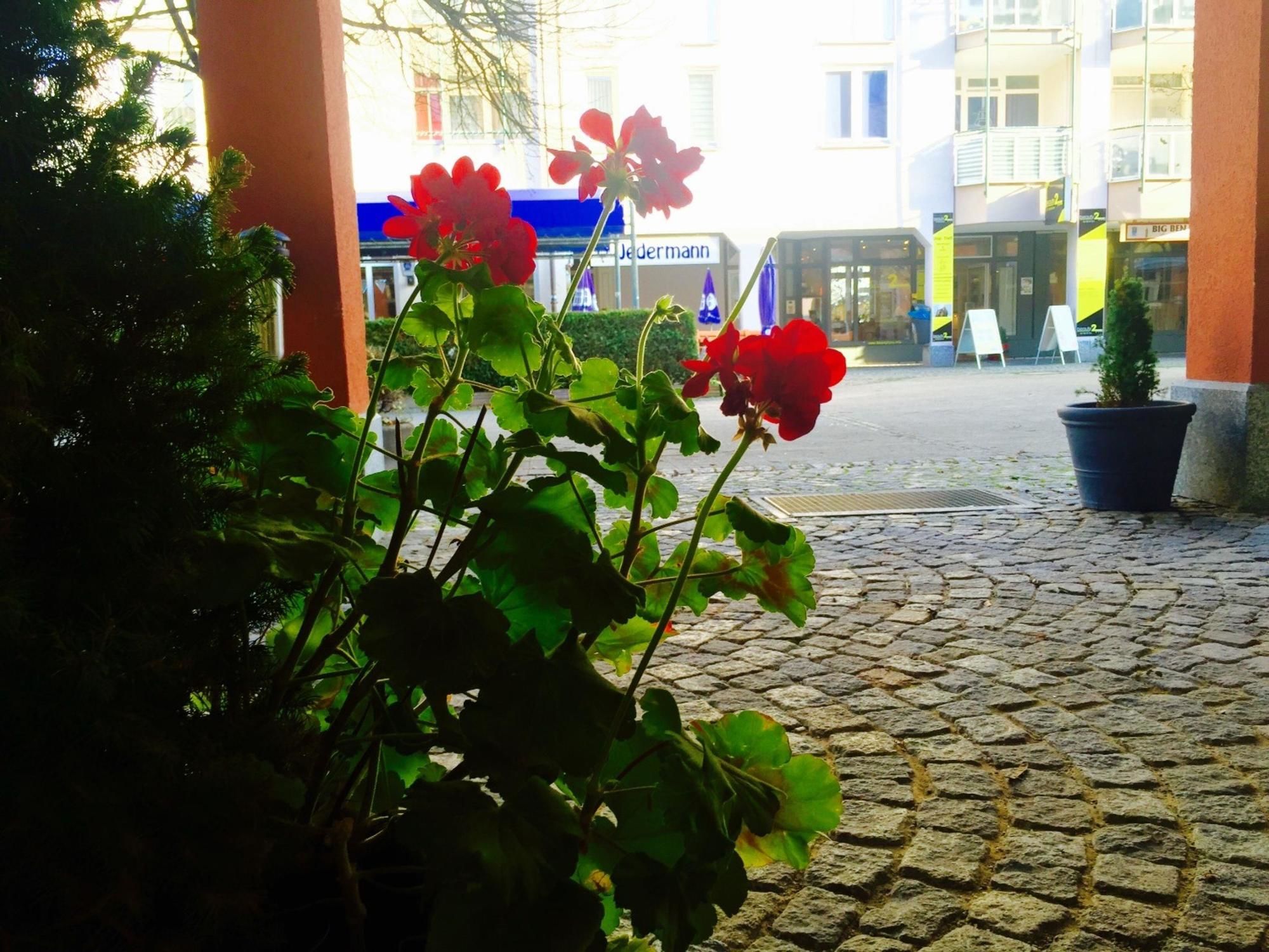Star Inn Hotel München Nord, by Comfort