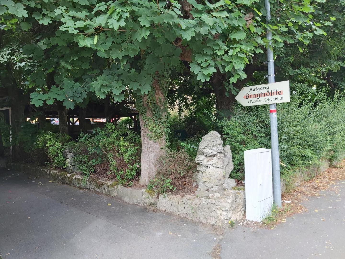 Schwarzer Adler
