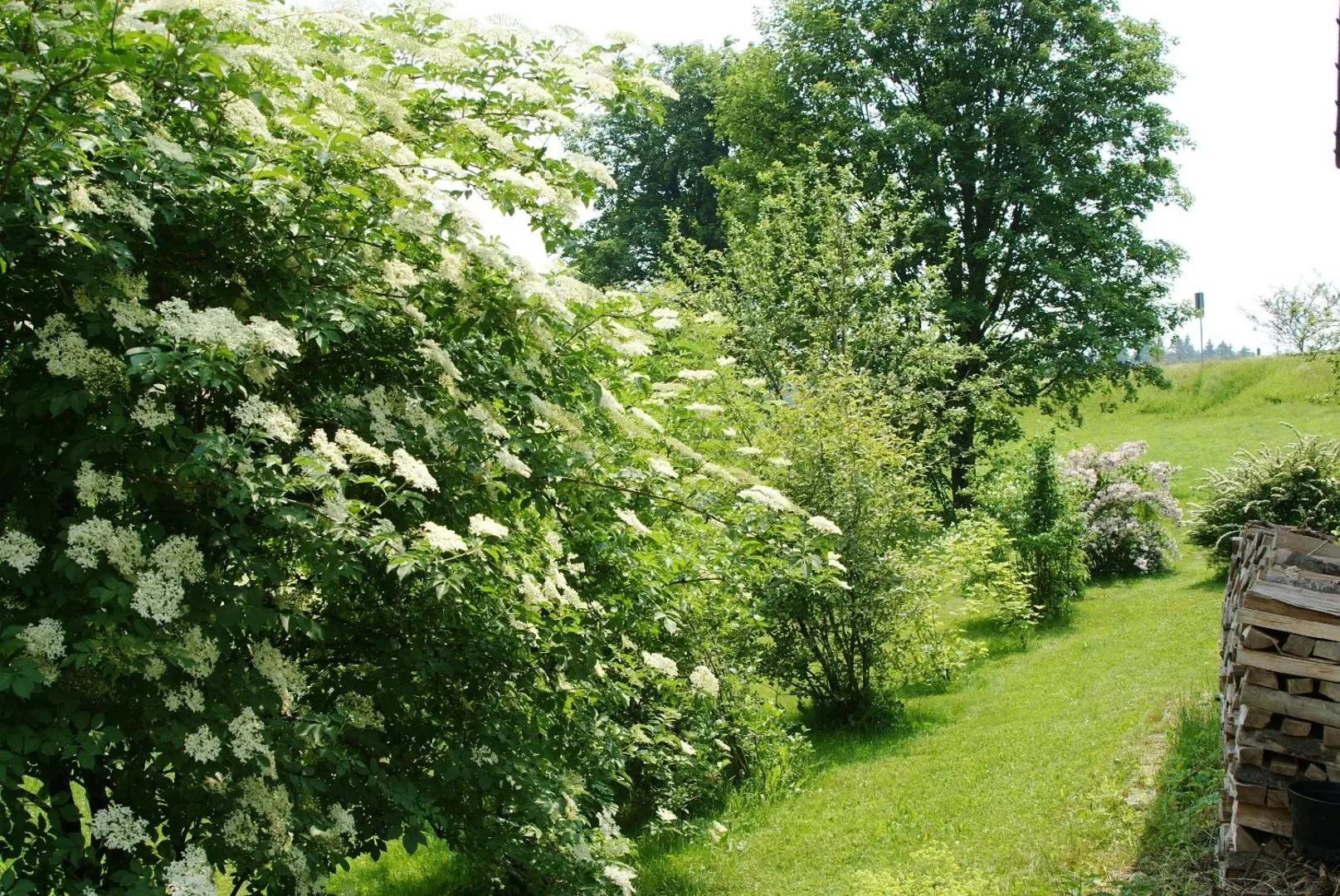 Privatpension Bergschütz