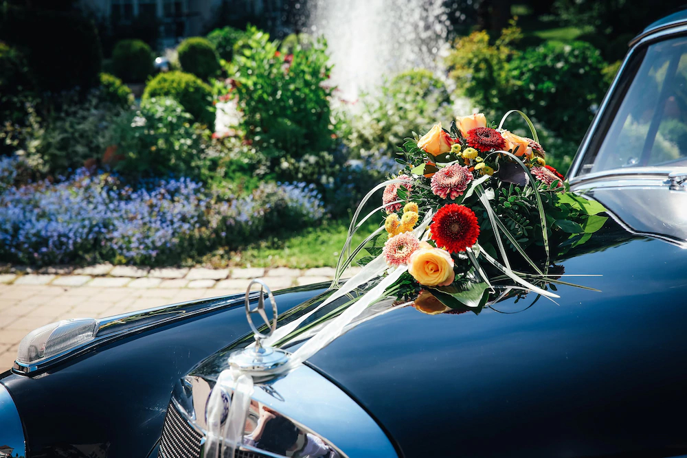 Drahthammer Schlöß'l