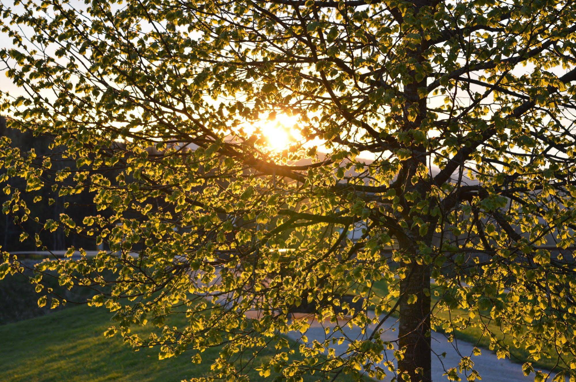 Wellness- & Vitalhotel Böhmhof