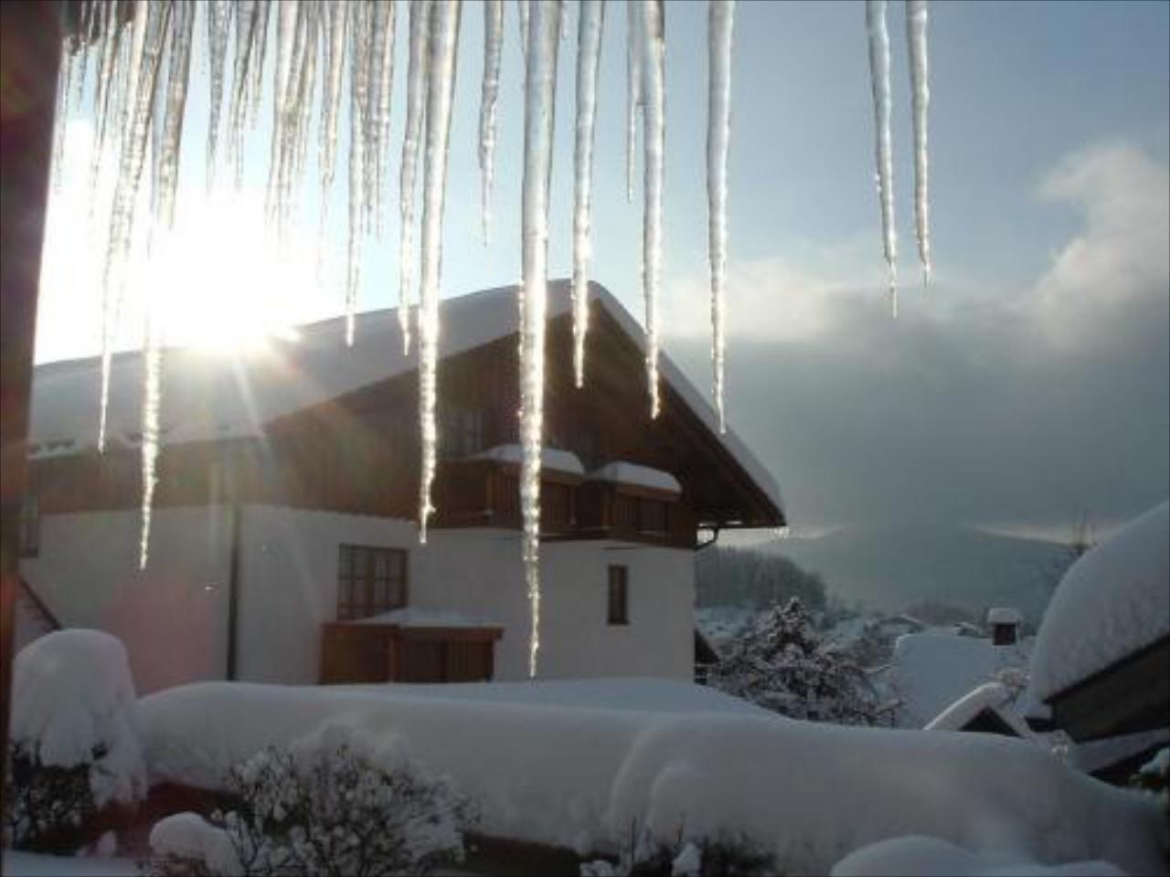 Ferien- und Aktivhotel zum Arber