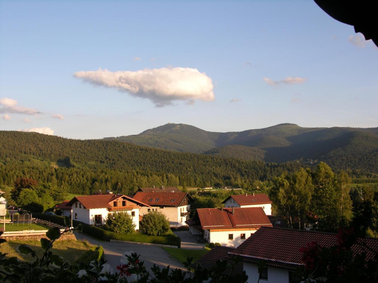 Arberblick