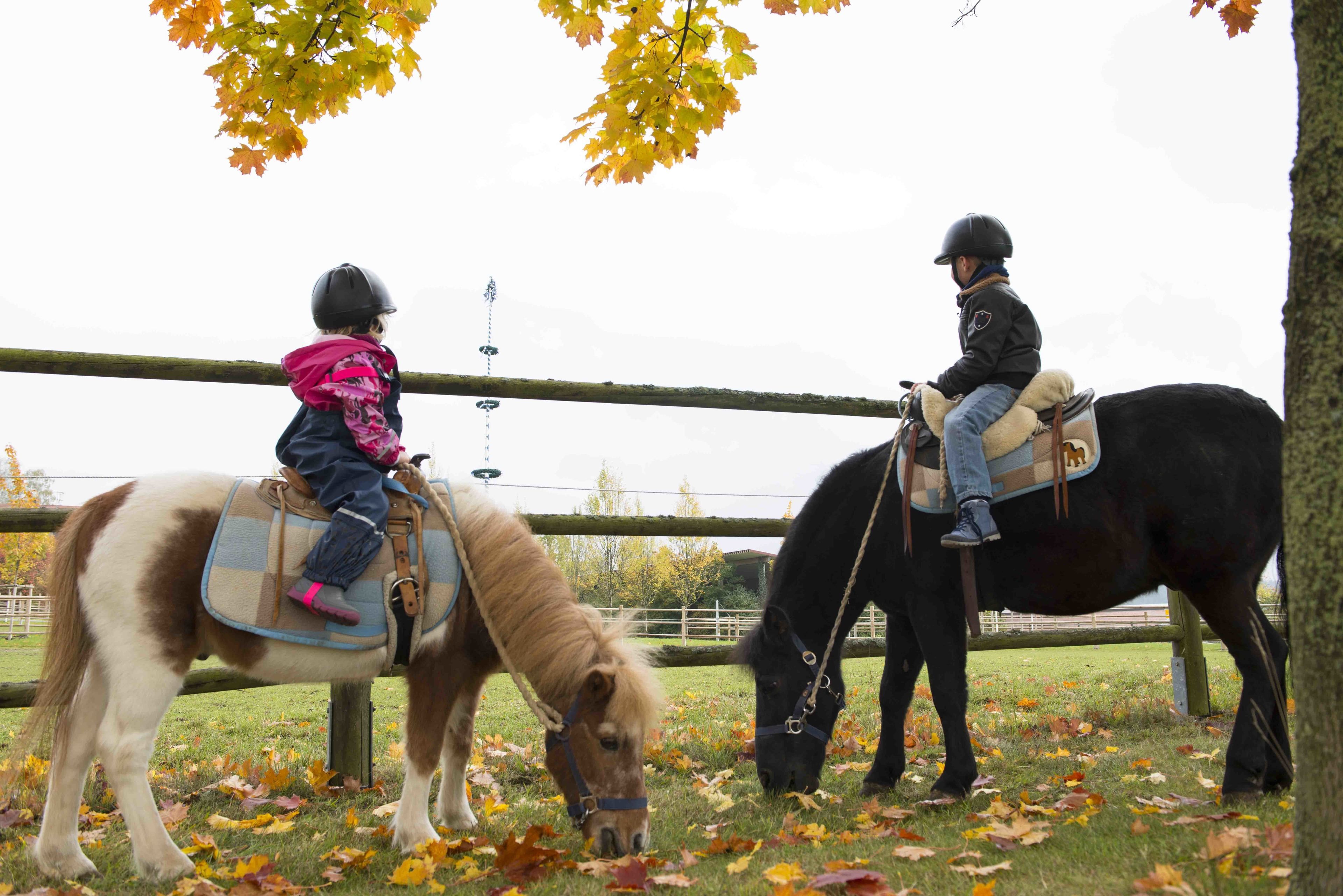 ULRICHSHOF Nature • Family • Design