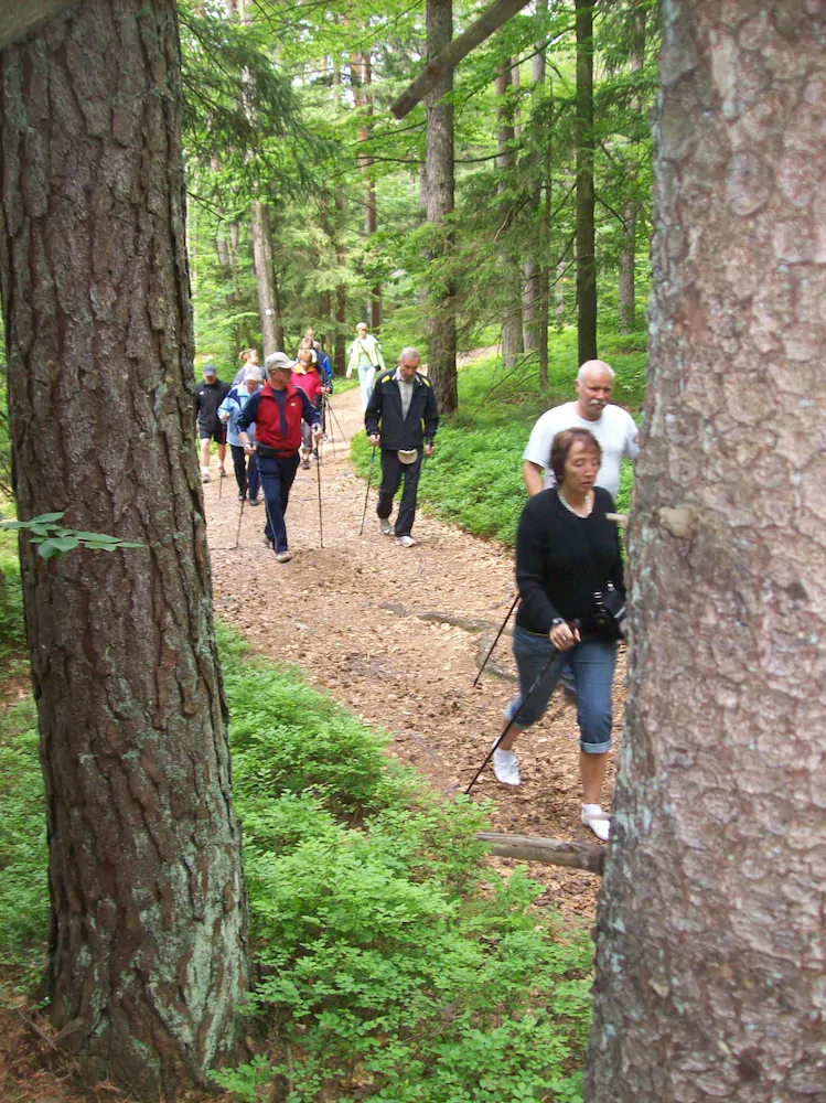 Vital & Wellnesshotel Schürger