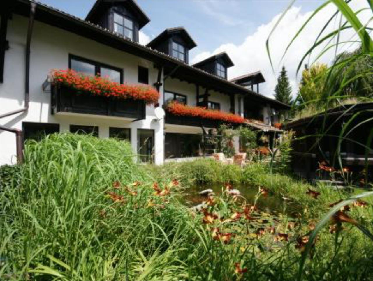 Sonneneck