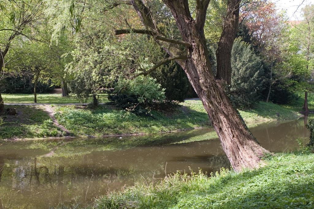 Limehome Berlin Luise Henriette Strasse