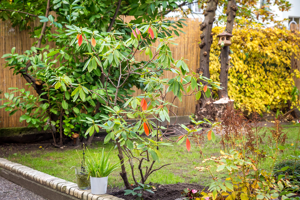AMC Hotel Schöneberg
