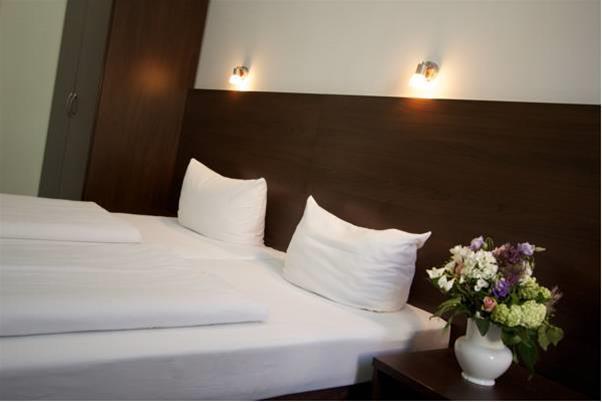 Arta Lenz Hotel