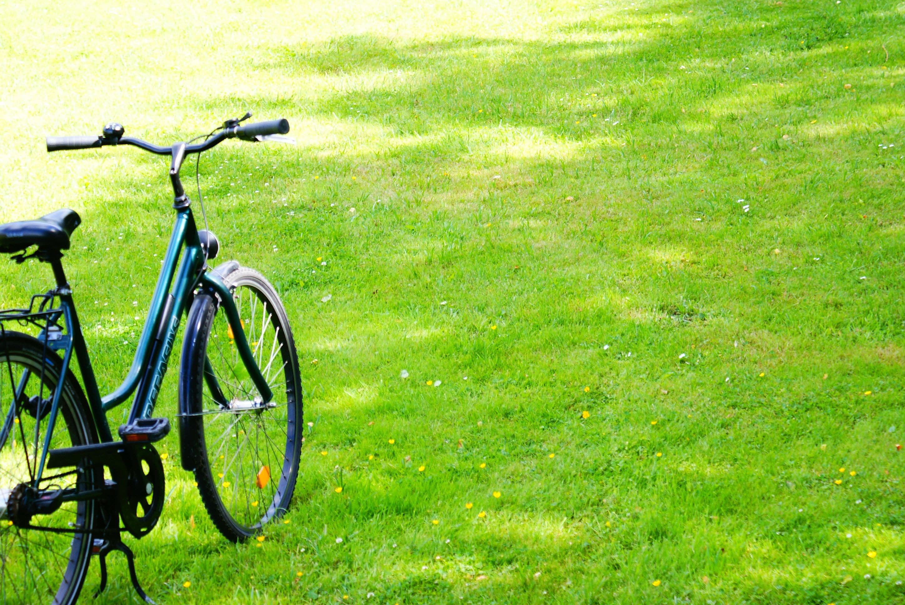 City Hotel Berlin East