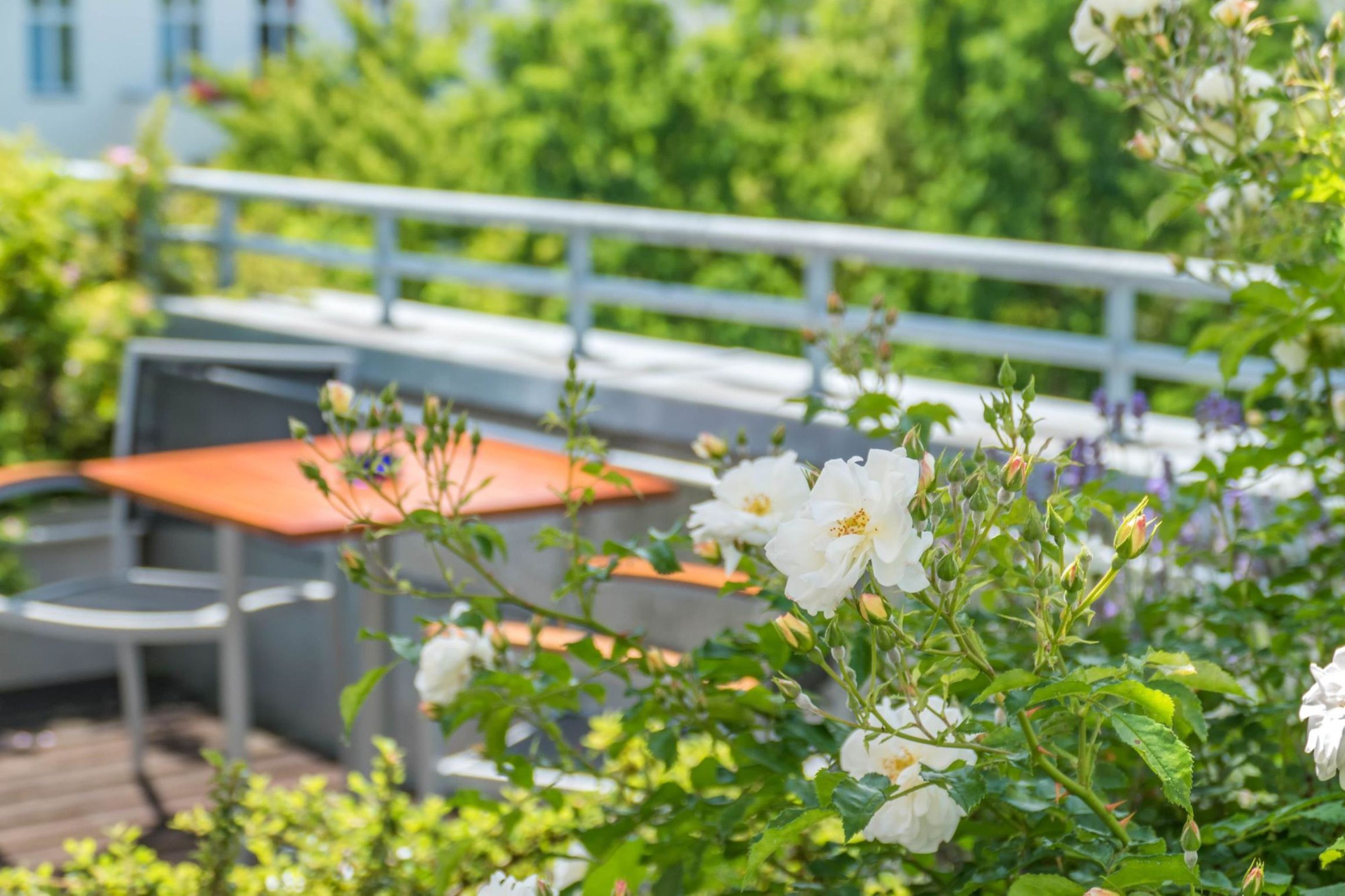 Hecker's Hotel Kurfürstendamm