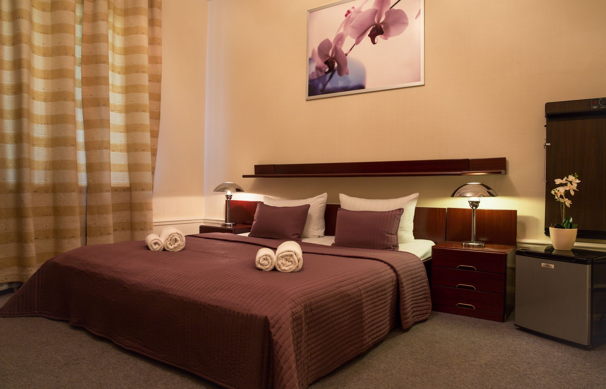 Hotel Comet