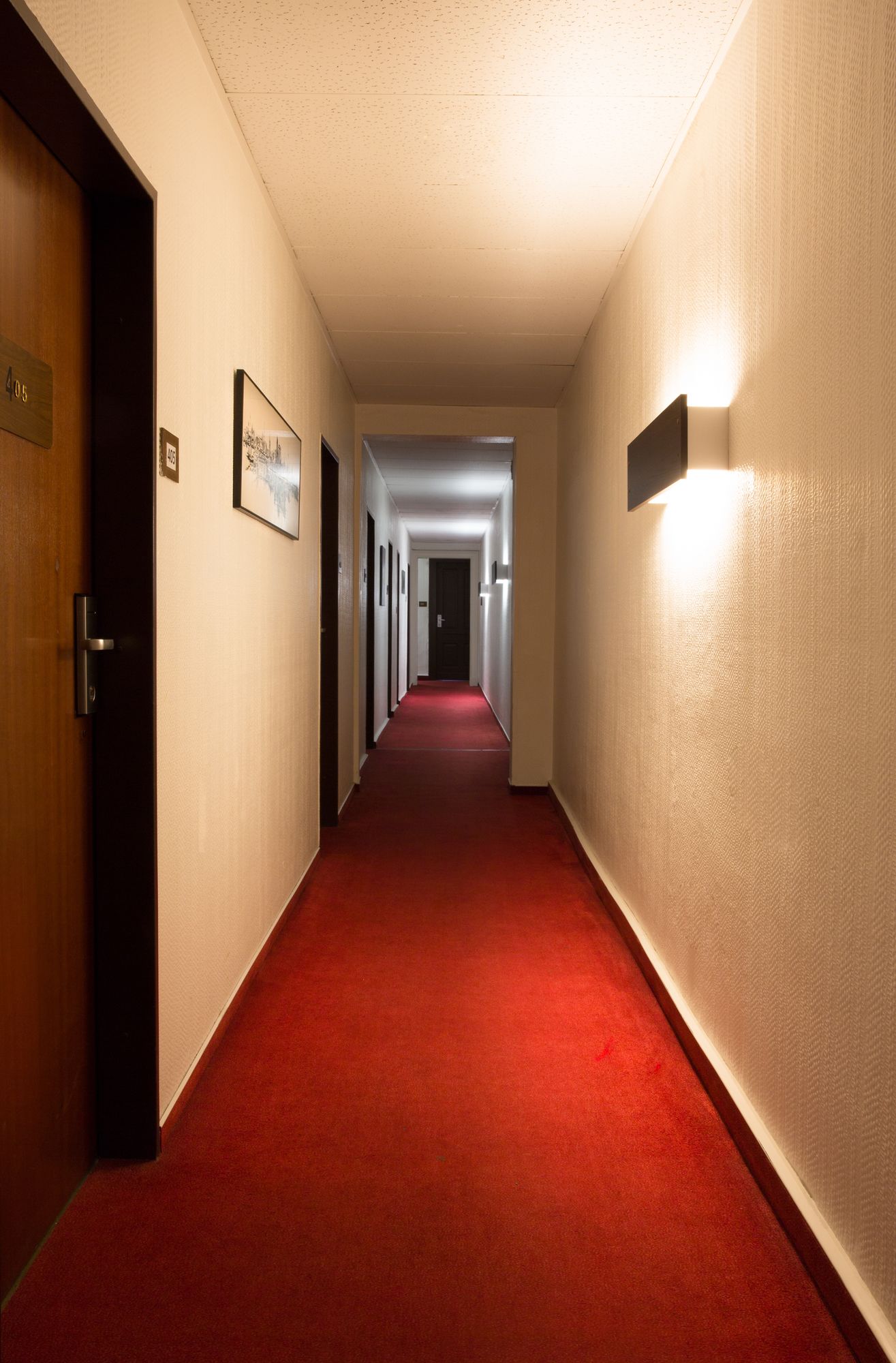 Hotel Comet