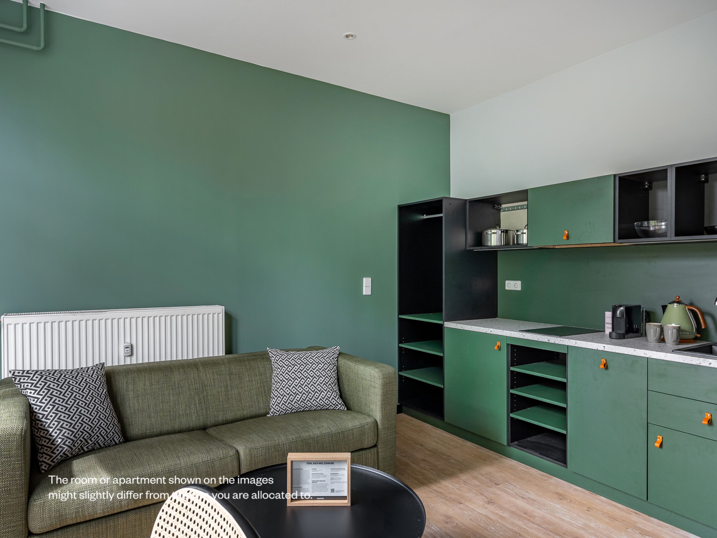 Numa Berlin Kater