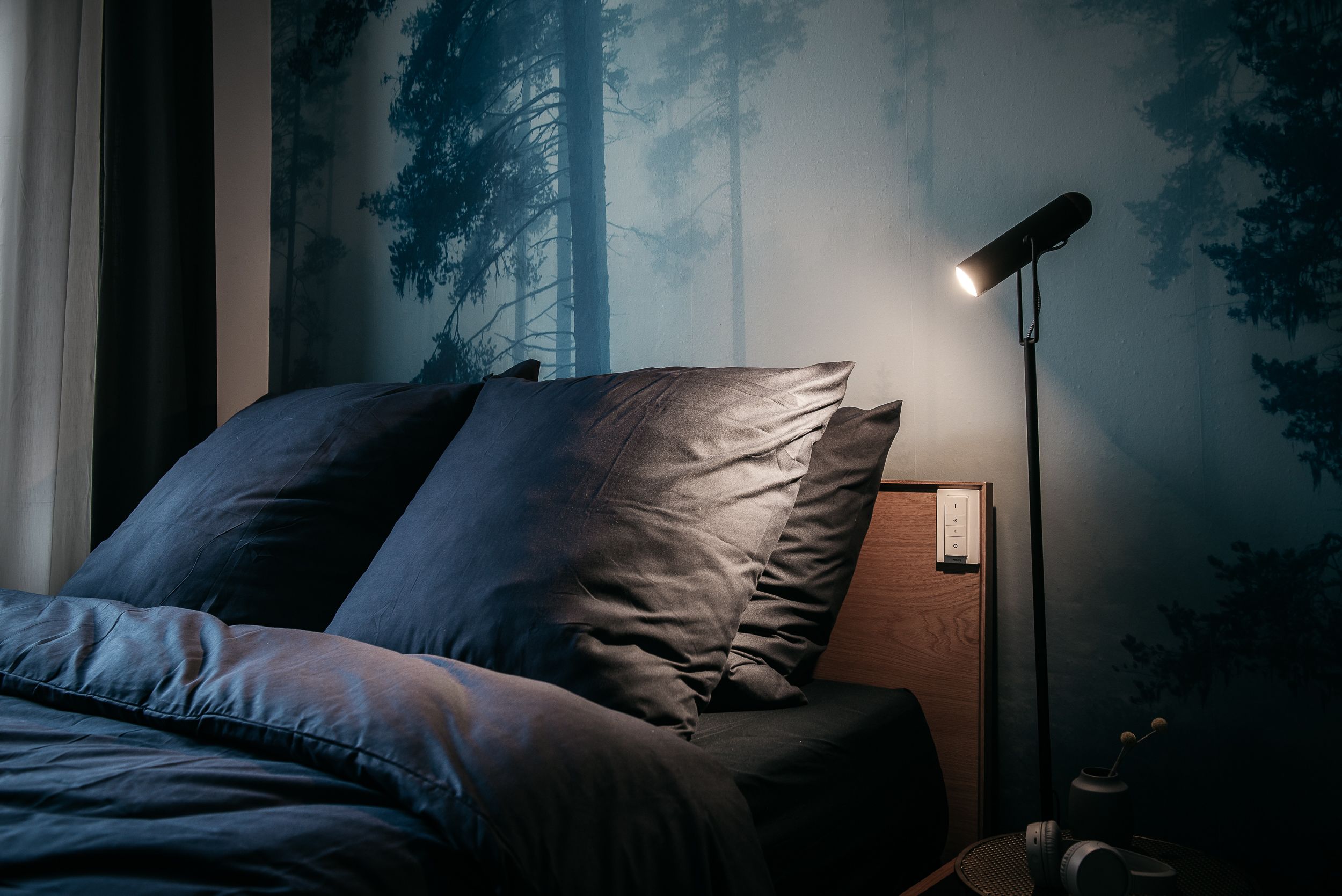 URBN Dreams Misty Forest