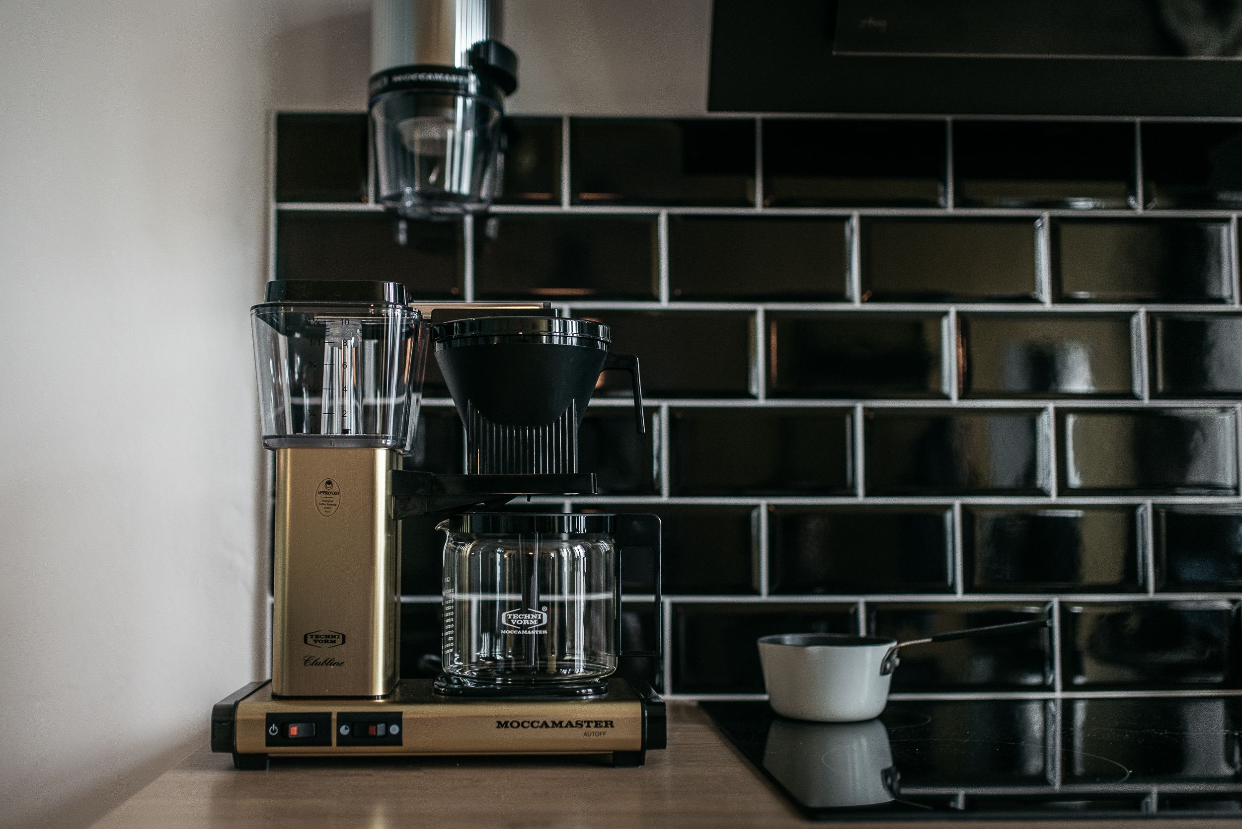 URBN Dreams Misty Forest