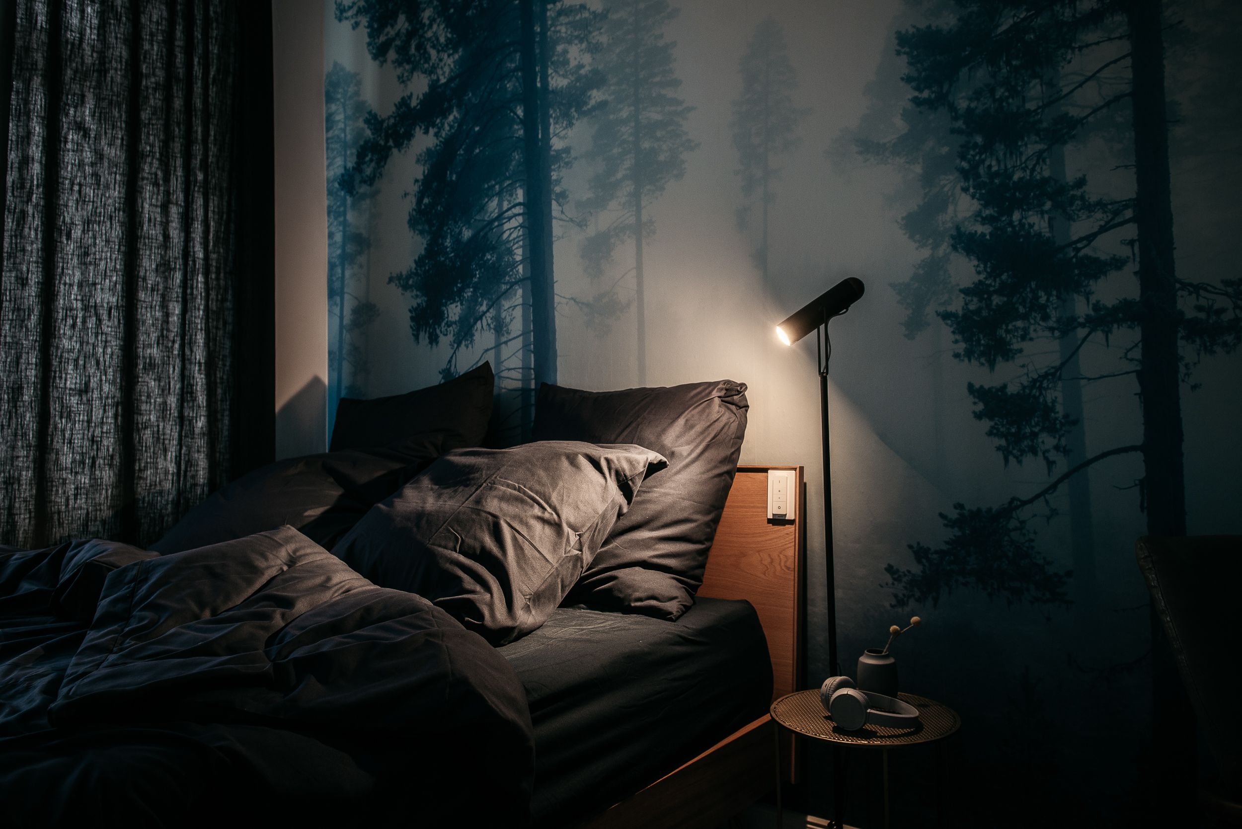 URBN Dreams Misty Forest