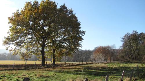 Wassersport Appartements Am Stossensee