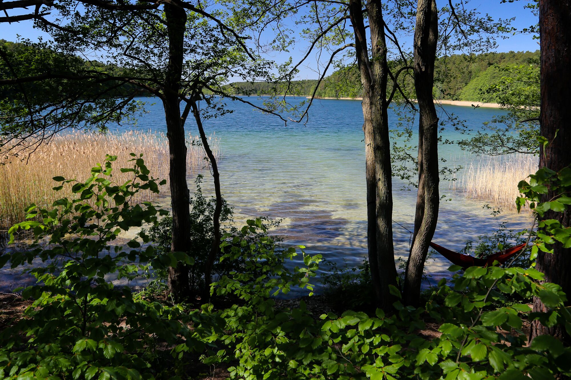 Storchenhof Blumenow