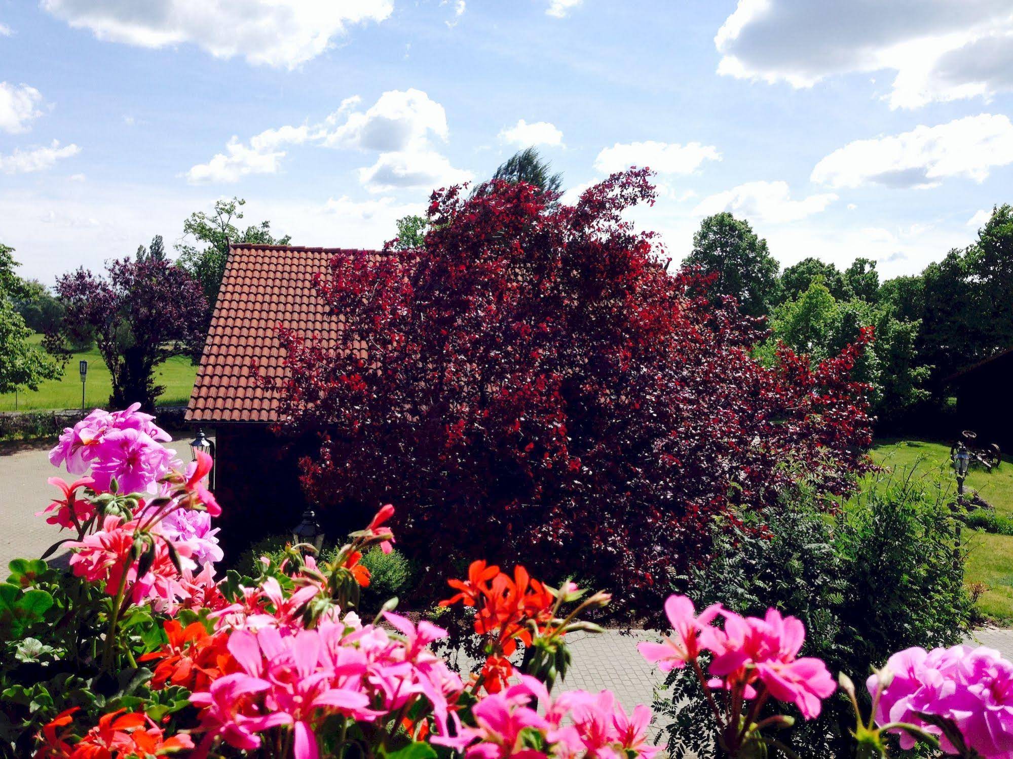 Hotel & Restaurant Zur Spreewälderin
