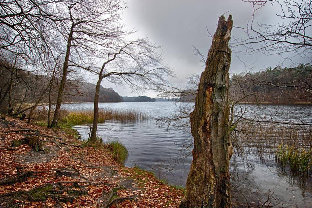 Jägerheim Ützdorf