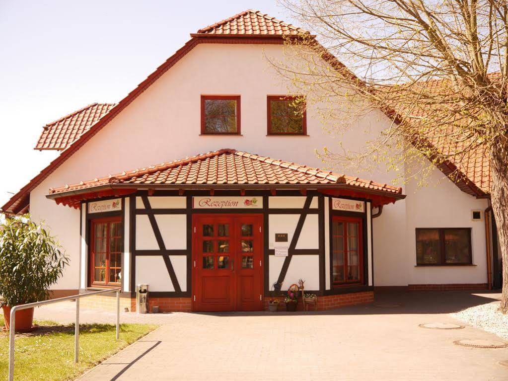 Lindengarten